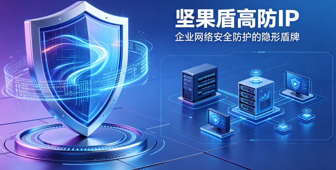 坚果盾高防IP：企业网络安全防护的“隐形盾牌”