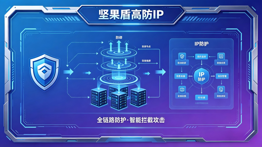 坚果盾高防IP产品防护架构图