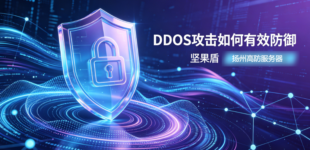坚果盾扬州电信高防服务器DDoS攻击防御解决方案封面