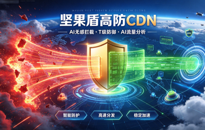 坚果盾高防CDN AI 无感拦截 T 级防御 AI 流量分析图
