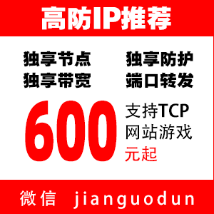 坚果盾高防IP